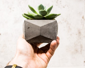 Minimale concrete plant pot || Sappige Planter || Indoor Concrete Planter || Cactus Plant Gift || Housewarming Cadeau || Houder van de luchtinstallatie