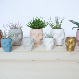 Geometric Skull Concrete Plant Pots, two sizes and multiple colours available image 4
