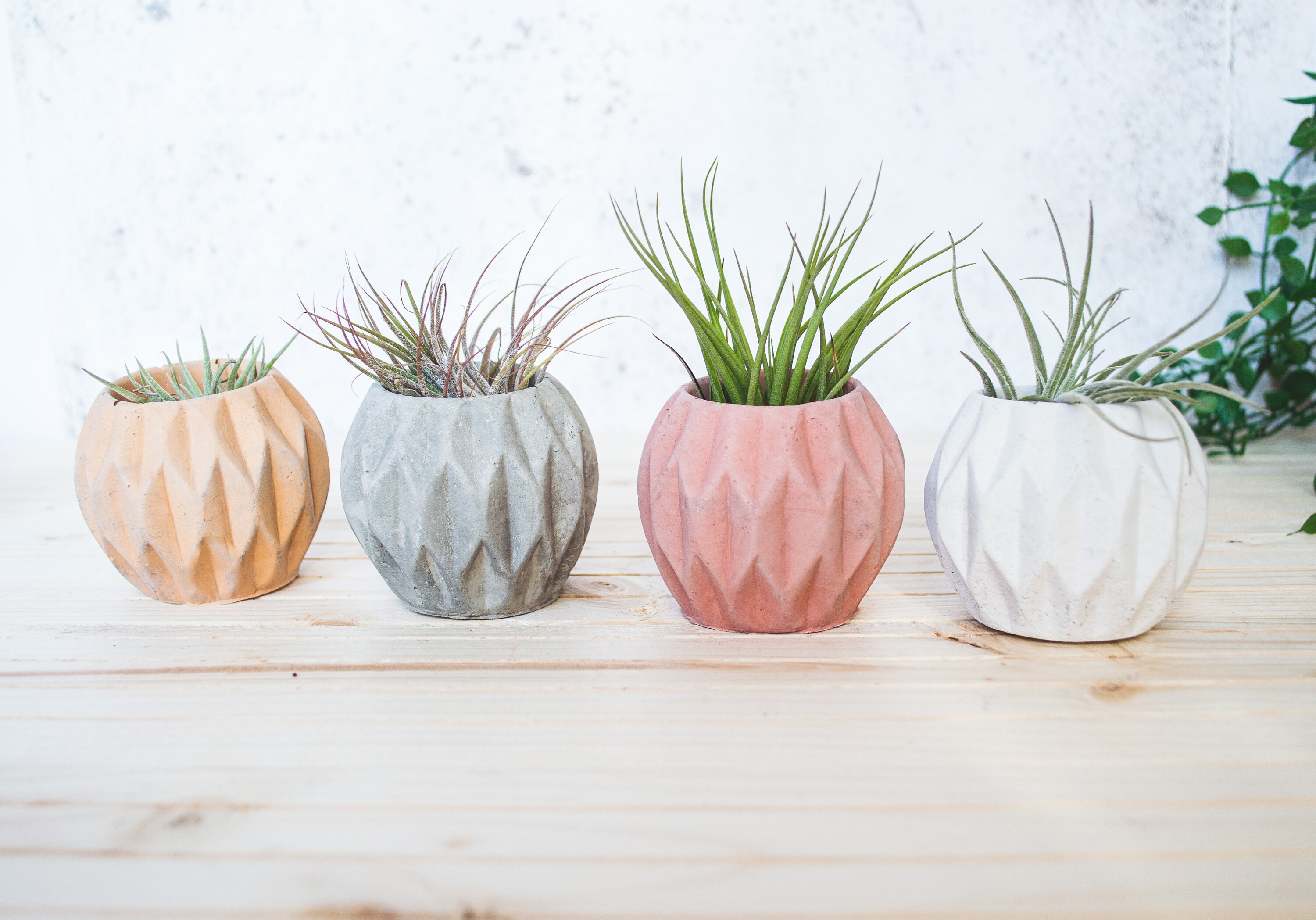 Geometric Concrete Plant Pot Indoor Succulent Planter Etsy UK