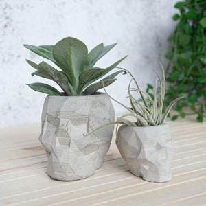 Geometric Skull Concrete Plant Pots, two sizes and multiple colours available image 9