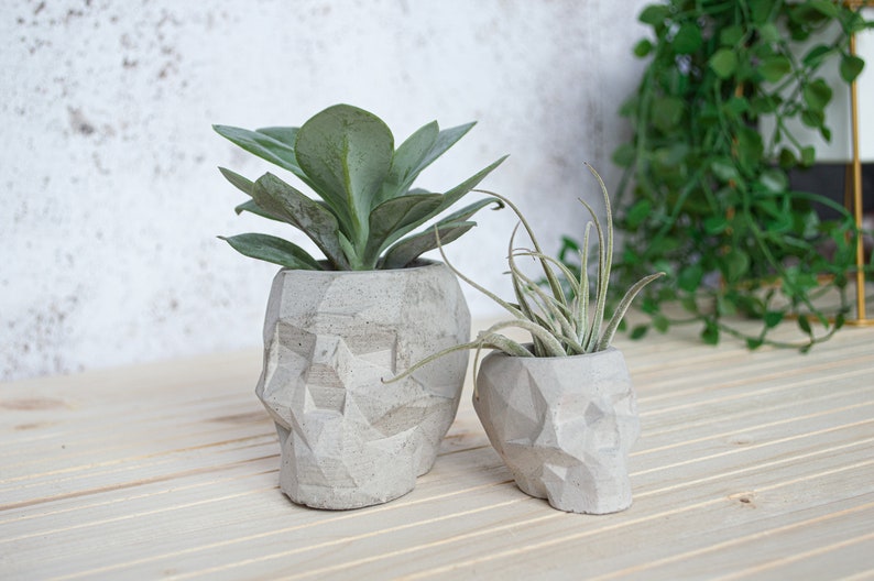 Geometric Skull Concrete Plant Pots, two sizes and multiple colours available image 9