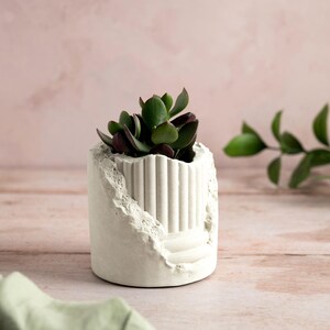 May include: A small, white concrete planter with a textured, distressed design, holding a succulent plant with dark green and purple leaves. The planter has a unique architectural detail. The background is a soft pink.