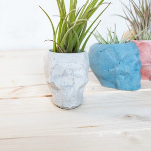 Geometric Skull Concrete Plant Pots, two sizes and multiple colours available image 5