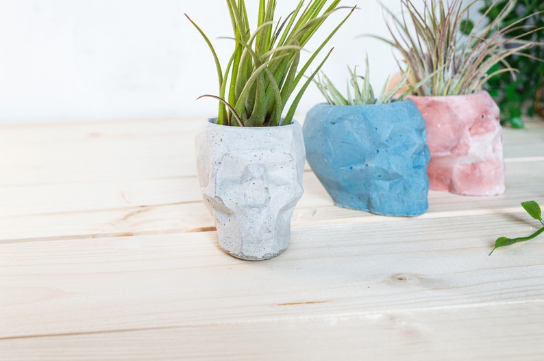 Geometric Skull Concrete Plant Pots, two sizes and multiple colours available image 5