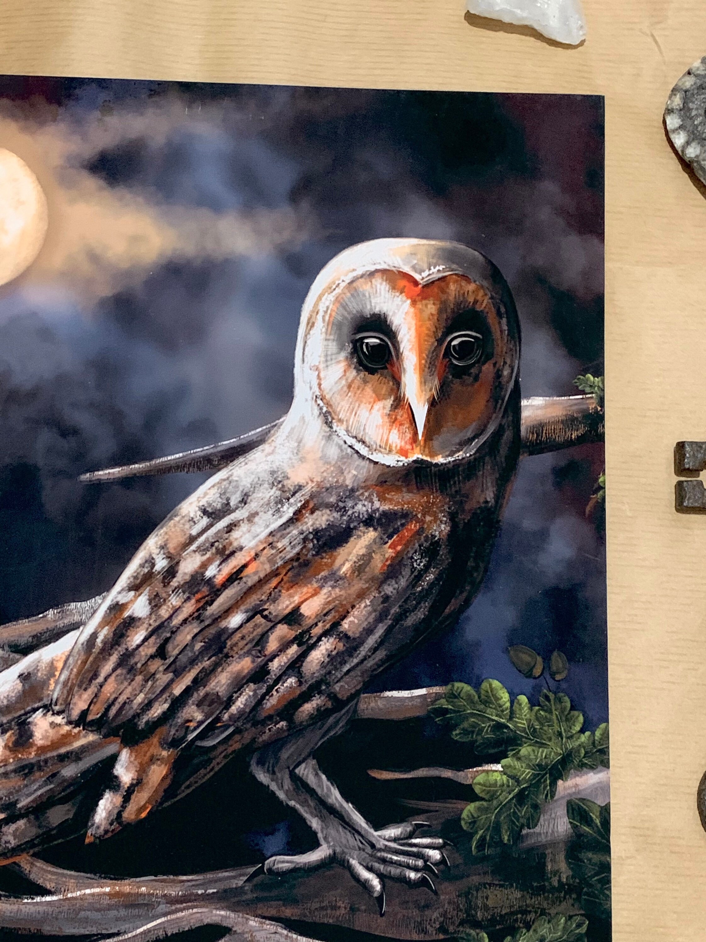 Barn Owl Art Print: Night Sky, Gothic Wildlife Decor - Etsy UK