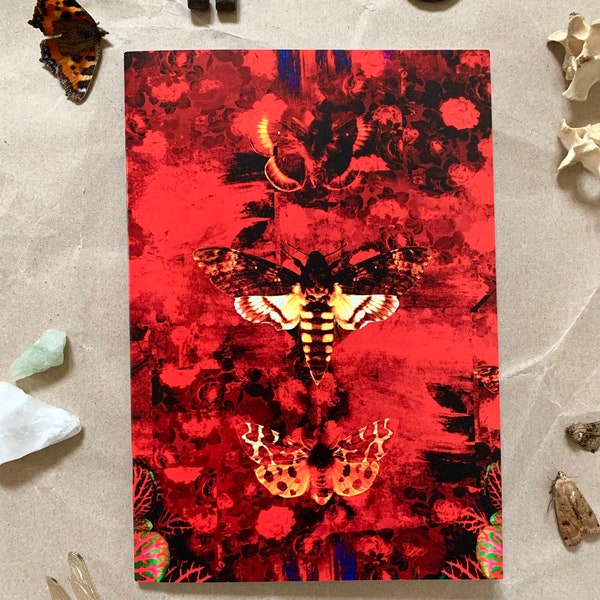 Death’s Head Moth Entomology Notebook - A5 Insect Butterfly Design, Blank sketchbook, gothic stationary