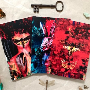 3 x A5 Entomology Horror Design Notebooks