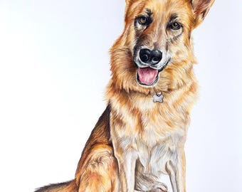 Custom Pet Portrait: Animal Drawing Commission, Color or Black and White