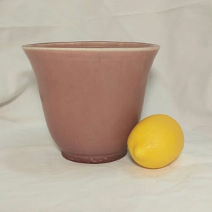 May include: A deep pink ceramic planter with a rounded bottom and a slightly flared rim. A yellow lemon sits next to the planter.