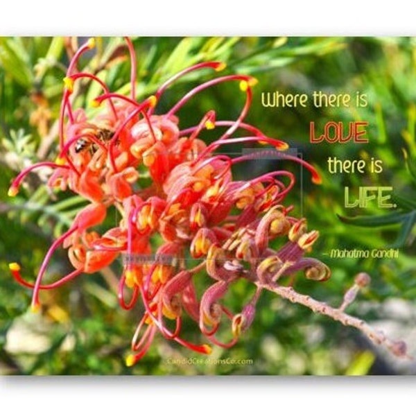 Gandhi Quote Wall Art, Where There is Love There is Life, Grevillea Superb, Flower Personalized Print, Love Life Quotes, Mahatma Gandhi