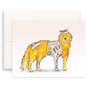 Carte de rétablissement, carte de voeux drôle de chien Golden Retriever, carte pour vous sentir mieux Carte de rétablissement drôle carte de rétablissement Golden Retriever, sympathie