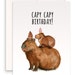 see more listings in the Cartes d’anniversaire section