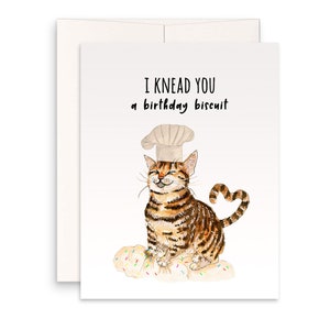 Funny Birthday Card From Cat Chef Tabby Cat Knead Cake Brown Tabby