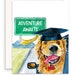 see more listings in the Remise des diplômes et félicitations! section