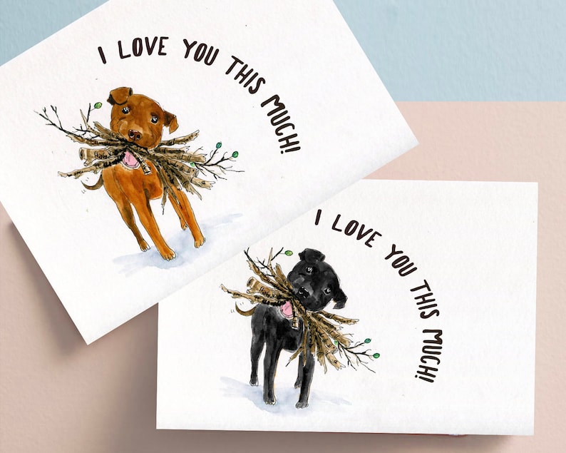 Choose Any 3 Cards Free Shipping Mix and Match Greeting Card Etsy