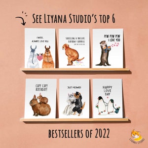 May include: A collection of six illustrated greeting cards featuring various animals and humorous messages. The cards are displayed on a wooden shelf against a peach-colored background. The cards feature a llama, a dog, an otter, a capybara, a cat, and penguins.