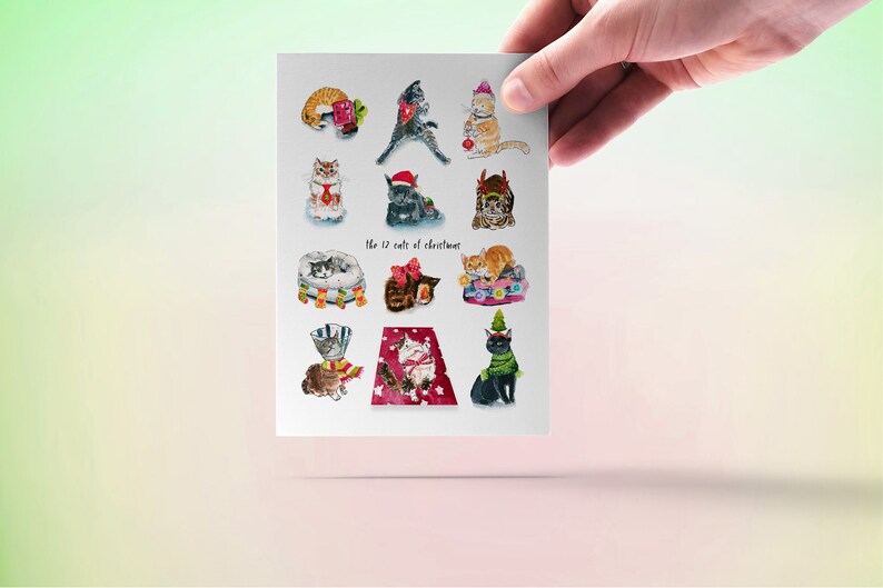 Funny Cats Christmas Card Set - Holiday Cards Pack of 4 - Black Cat ...