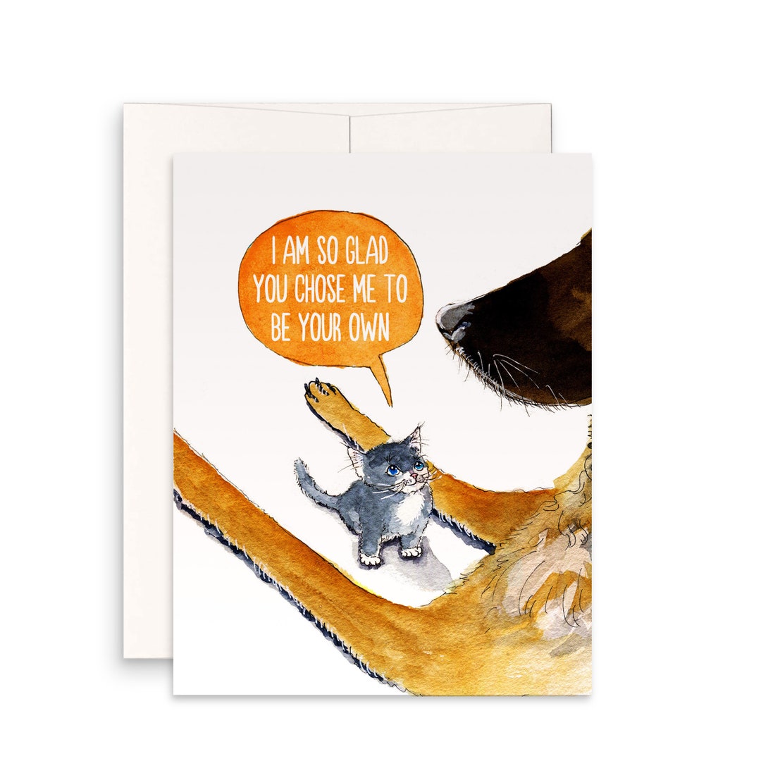 Funny Step Dad Birthday Card - Cheeky Humour Greetings Card For Fathers Day C814
