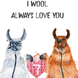 Carte d'anniversaire de 7e anniversaire en laine de lamas pour mari - Je t'aime toujours en laine - Cartes d'anniversaire amusantes pour lui 7 Year Anniversary