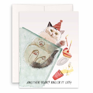 Cartes d'anniversaire amusantes pour chats, cadeau de joyeux anniversaire pour les amoureux des chats, cartes de voeux faites main Liyana Studio