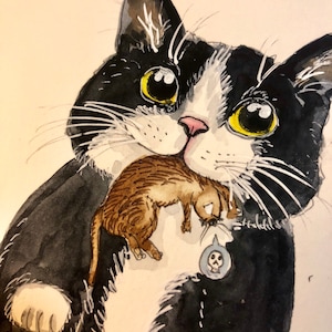 May include: A black and white cat with yellow eyes is holding a smaller brown and white cat in its mouth. The larger cat has a skull and crossbones charm on its collar.