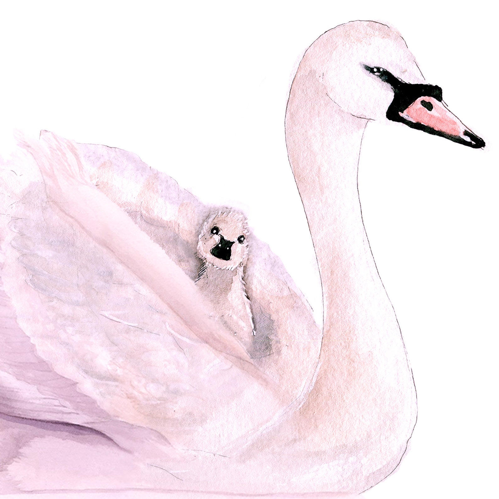Swan Mom and Baby Mother's Day Card Funny - Home is Where Mom is ...