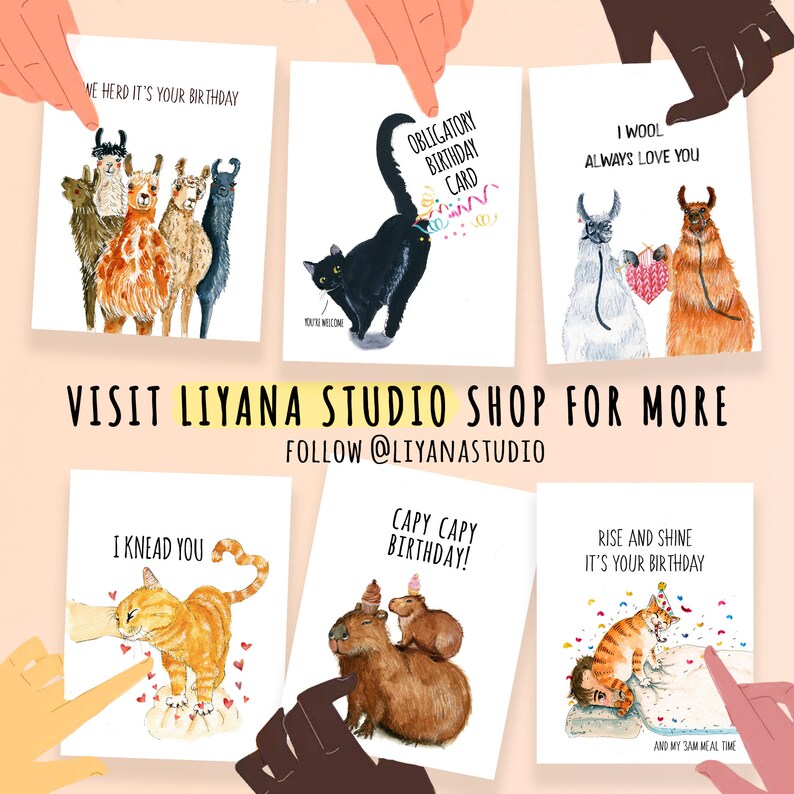 May include: Set of ten illustrated greeting cards featuring various animals with humorous birthday messages. The cards are white with colorful illustrations and black text. The cards include a llama, a cat, a capybara, and a cat.