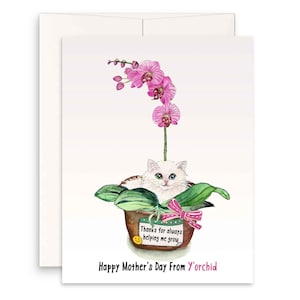 Carte de fête des mères amusante orchidée rose prise par un chat - Aidez-moi à faire pousser des plantes pour les amoureux des plantes - Cadeaux pour maman chat blanc - Carte de voeux faite main Liyana Studio