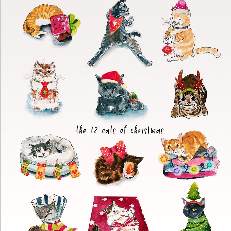 Funny Cat Christmas Cards - 12 Days of Christmas for Cat Lovers - Etsy