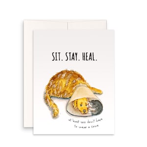 Carte de sympathie pour chien - Carte de rétablissement bientôt pour les amis - Cône de honte pour chien et chat Golden Retriever