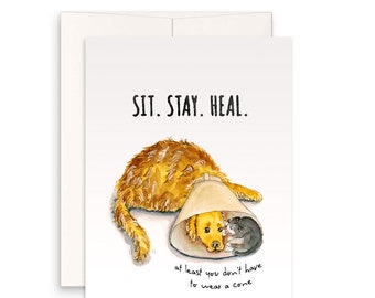 Dog Sympathy Card - Get Well Soon Card For Friends - Golden Retriever Dog And Cat Cone of Shame