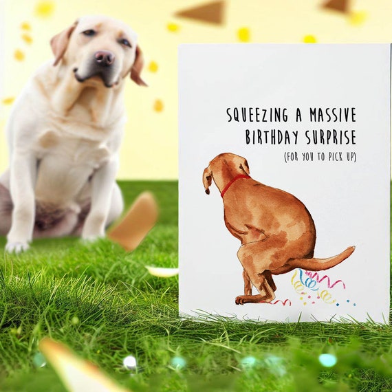 Naughty Lab Dog Birthday Card Funny Squeeze Massive Surprise for ...