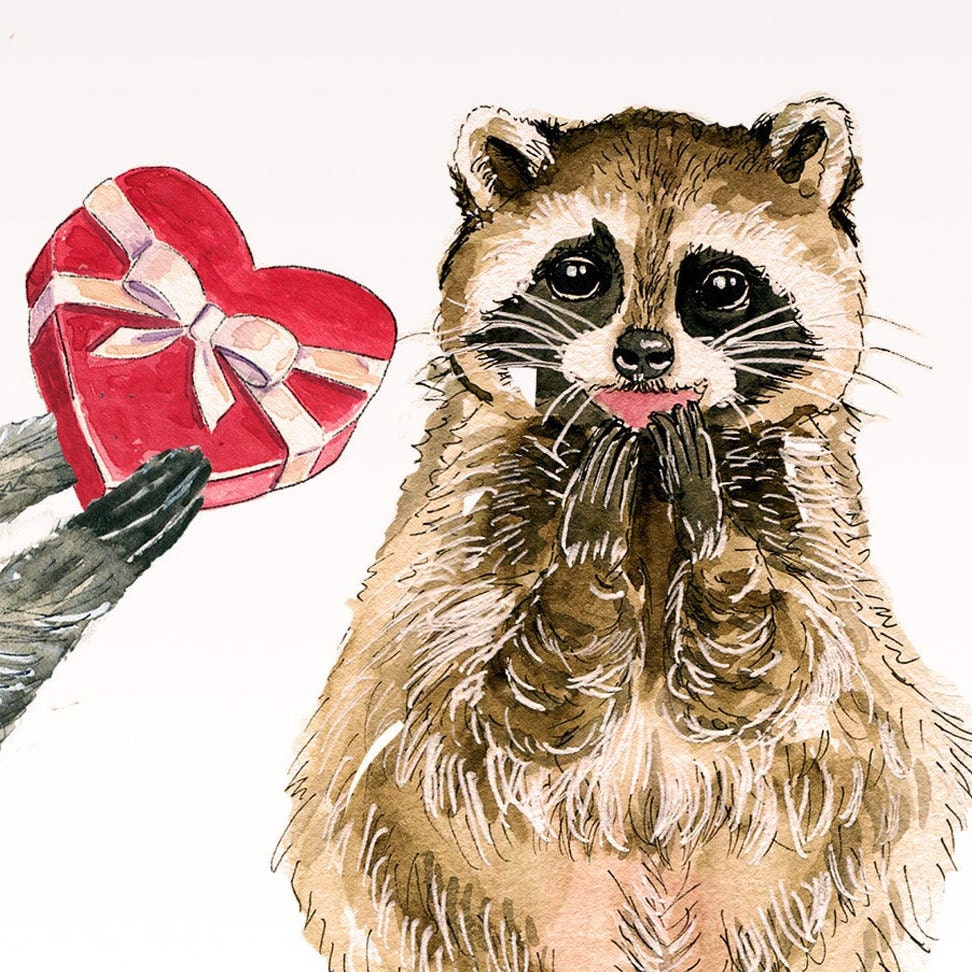 Raccoon Valentine Greetings