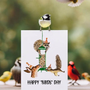 Bird Feeder Funny Birthday Cards For Bird Watching Bird Birthday Card For Bird Lover Nature Lover Squirrel Raccoon Deer Liyana Studio image 4