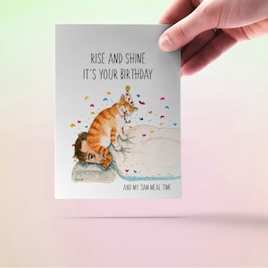 May include: A greeting card featuring a cartoon illustration of a cat wearing a party hat and waking someone up. The text on the card reads "Rise and shine it's your birthday and my 3am meal time."