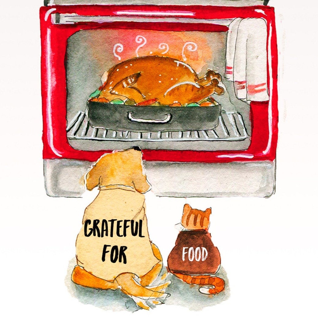 Thanksgiving day cartoon specials