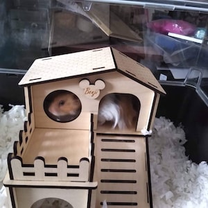 Hamster House. Two sizes avaliable. Suitable for Syrians image 5