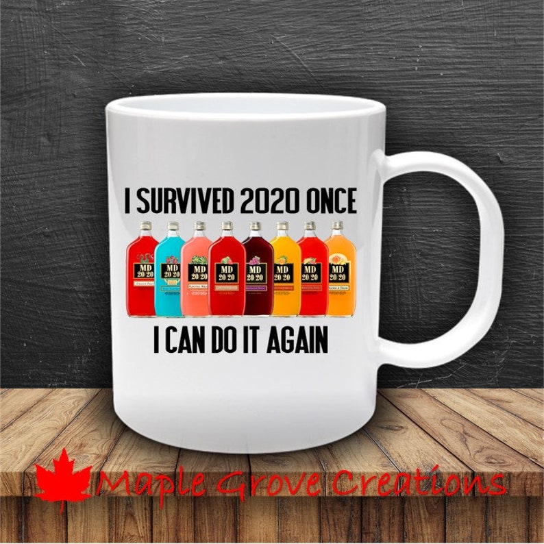 i survived 2020 i can do it again