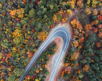 Forest Road