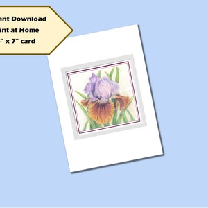 DRUCKBARE KARTE -Digitaler Karten Download - Print at Home – Florale Karte – Iris Card – Blank Card