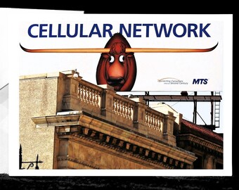 Bull on a Building - Prints/Card, Winnipeg, Manitoba, Architecture, MTS, Animals, Exchange District, Advertising, Cellular Network