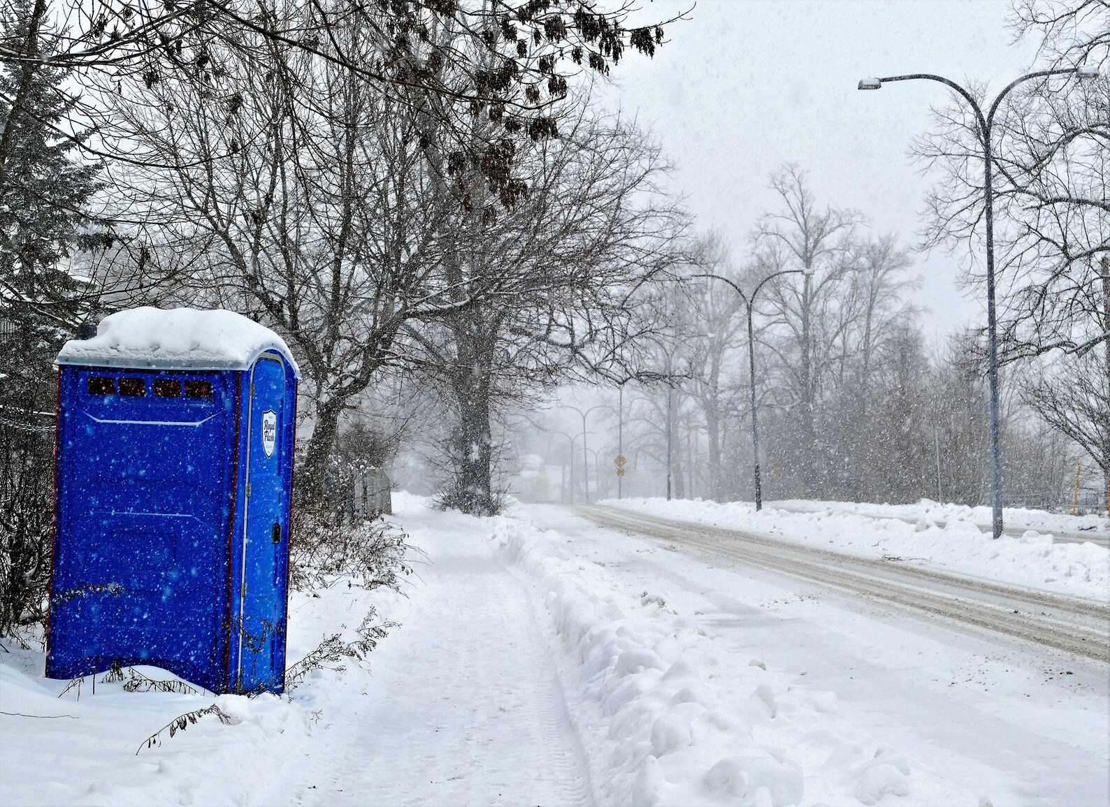 Surprise Winter Porta PottyPrints/Card Blue Porta Potty Etsy
