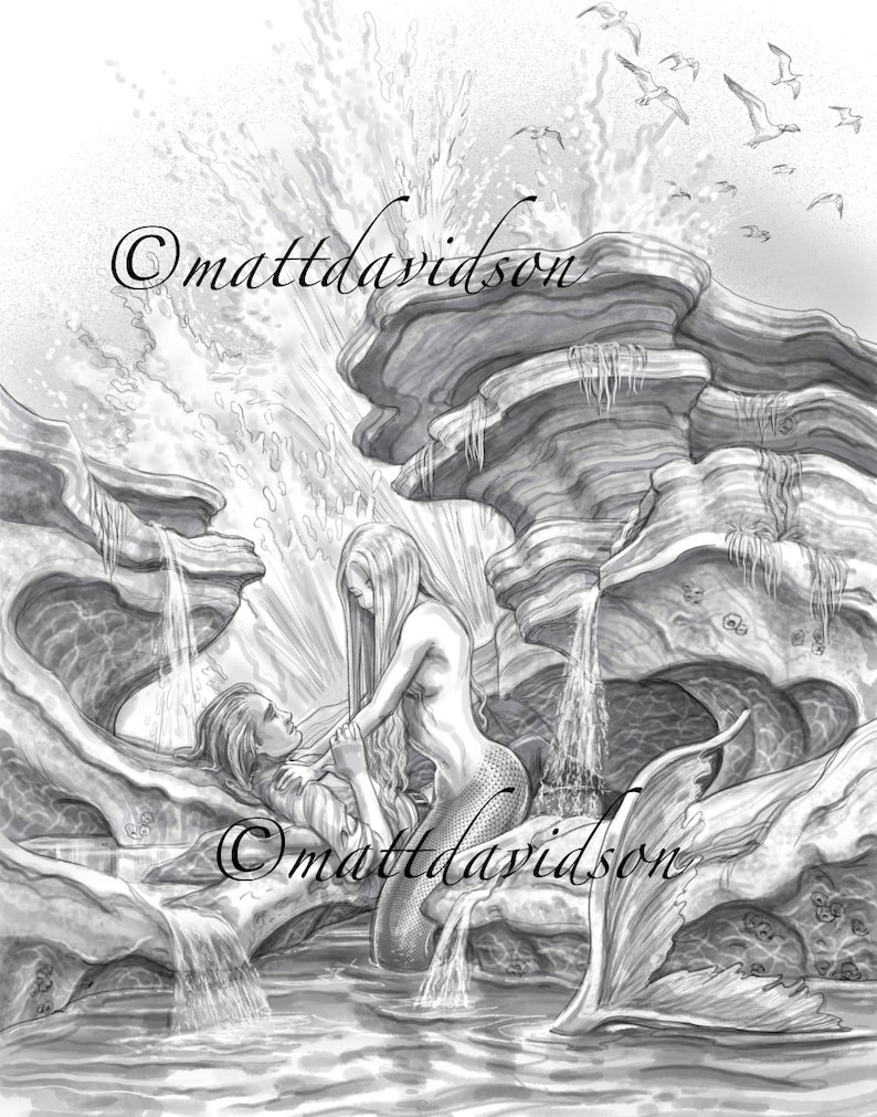 May include: A black and white drawing of a mermaid with long flowing hair, holding a man in her arms. The mermaid is sitting on a rock formation with a waterfall behind her. The drawing is signed "Matt Davidson".