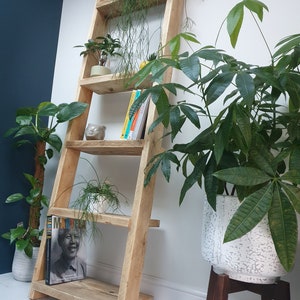 Bespoke Wooden Shelving