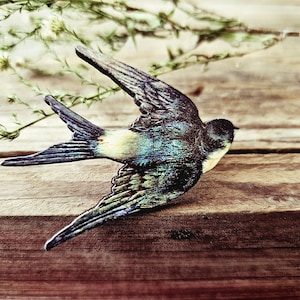Zwaluwvogelbroche, vogelspeld, blauwe vogelbroche, vogelspeldbroche.