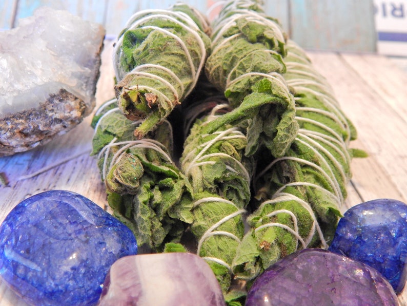 Mint Smudge Stick Dried Mint Mint Smudge Bundle Smudge Etsy