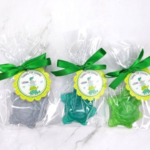 Turtle Soap Favors -  12 Turtle Party Favors for Birthday Party, Turtle Ninja Favor, Teen Party Favors, Tween, Turtle Baby Shower Favor, Boy