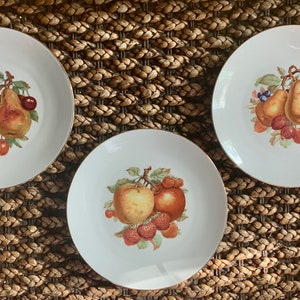 Bareuther Waldsassen Bavaria Germany Fruit Plates Set of 3