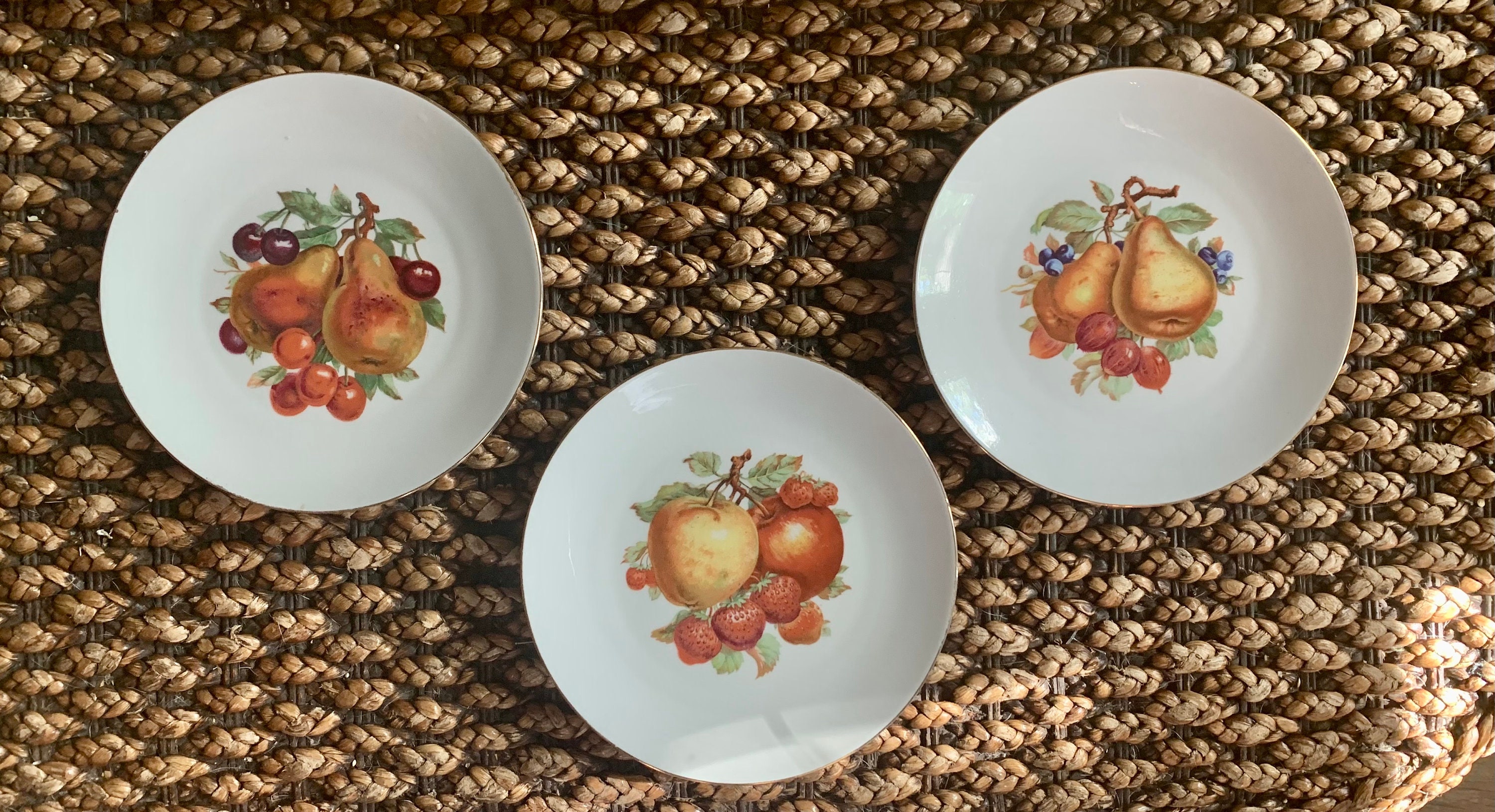 Bareuther Waldsassen Bavaria Germany Fruit Plates Set of 3 - Etsy