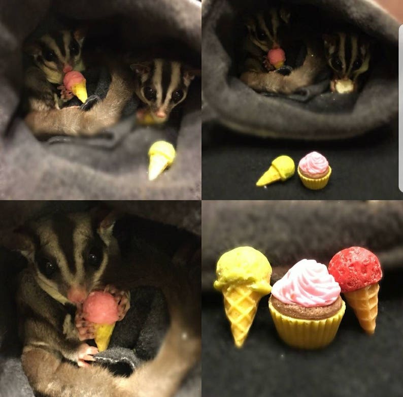 Sugar Glider Mini Ice Cream Cone Treats Etsy